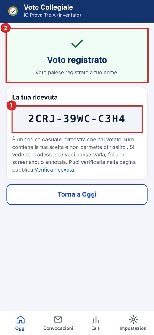Ricevuta del voto